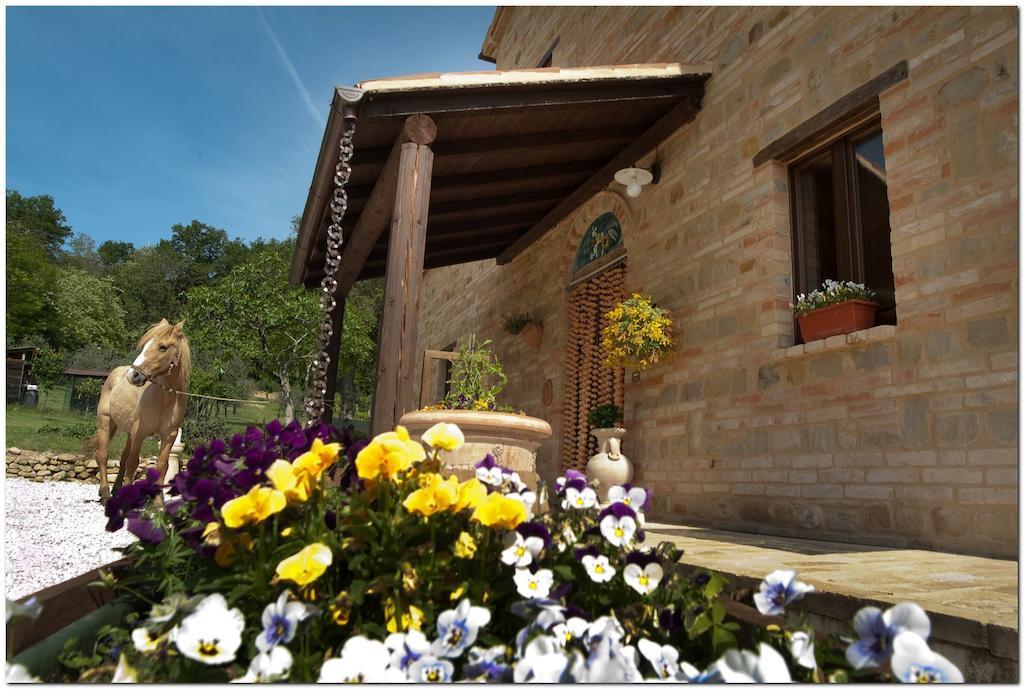 Il Casale Di Aurora Country House Colmurano Exteriér fotografie