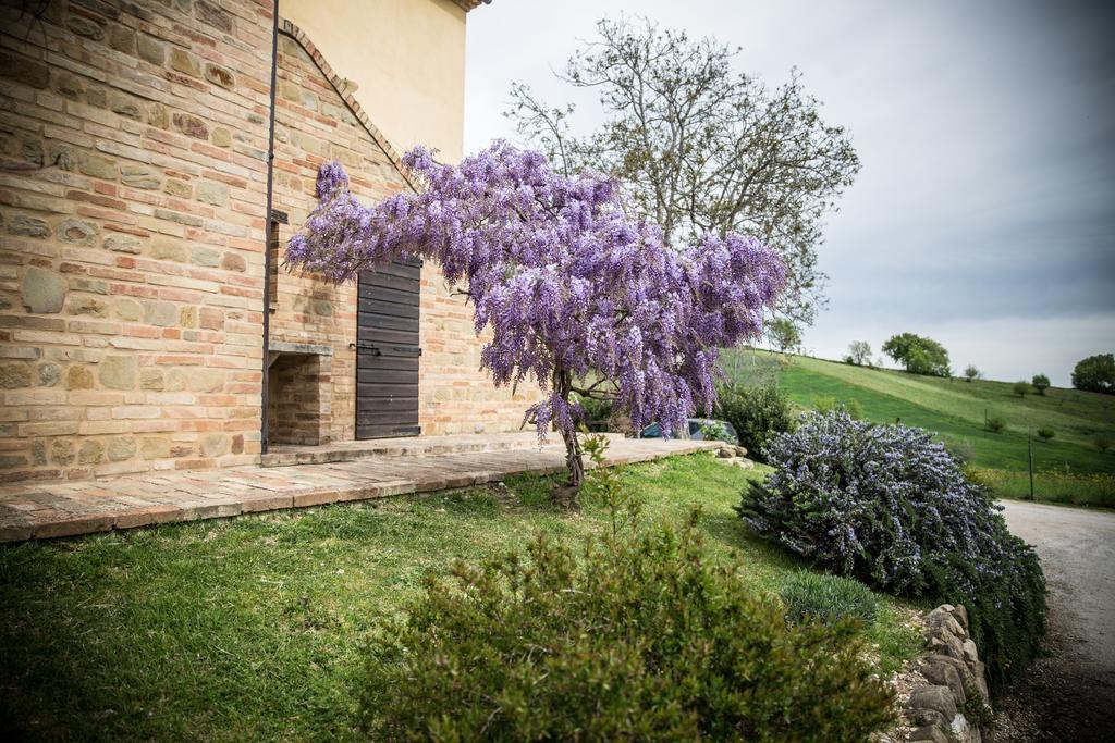 Il Casale Di Aurora Country House Colmurano Exteriér fotografie