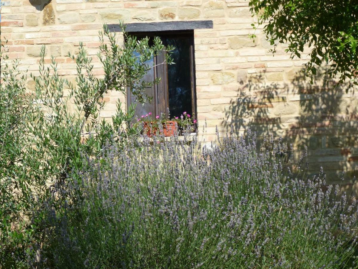 Il Casale Di Aurora Country House Colmurano Exteriér fotografie